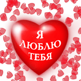 01.gif