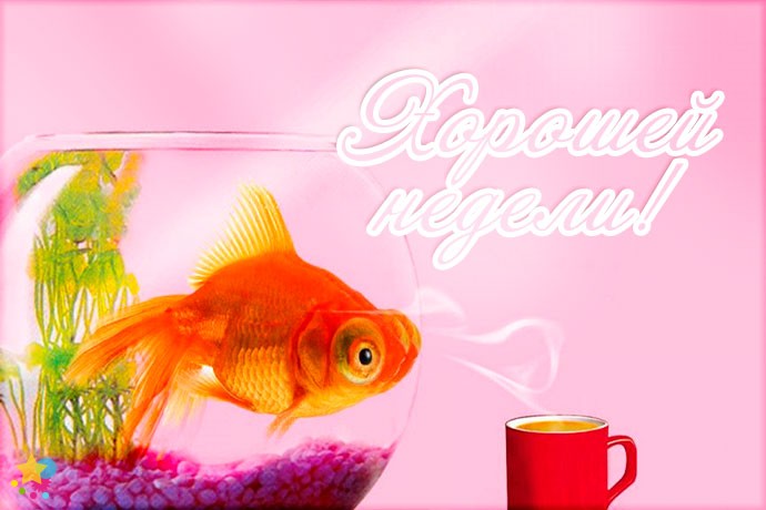 Рыбка в аквариуме и чашка кофе