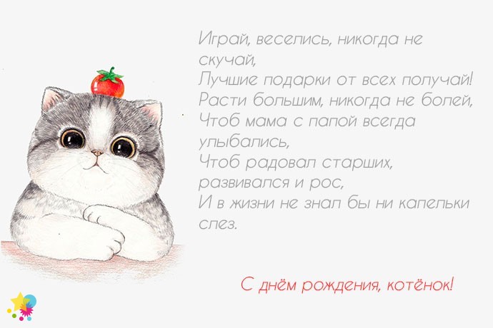 Котенок с помидоркой на голове