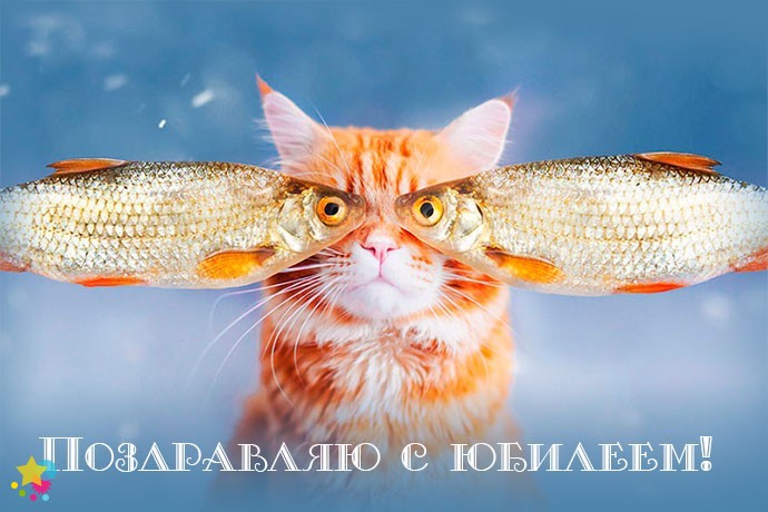 Котик и рыбы