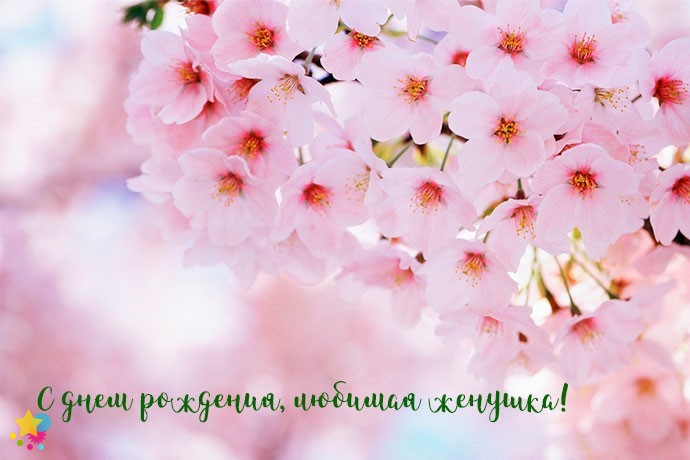Цветение яблони