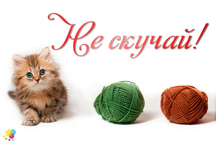 Котенок и клубки ниток