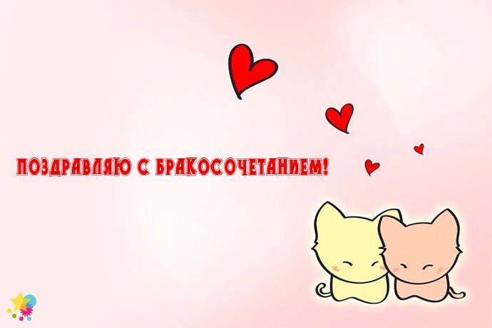 Два котенка