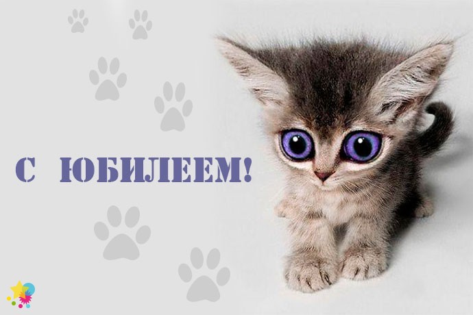 Котенок