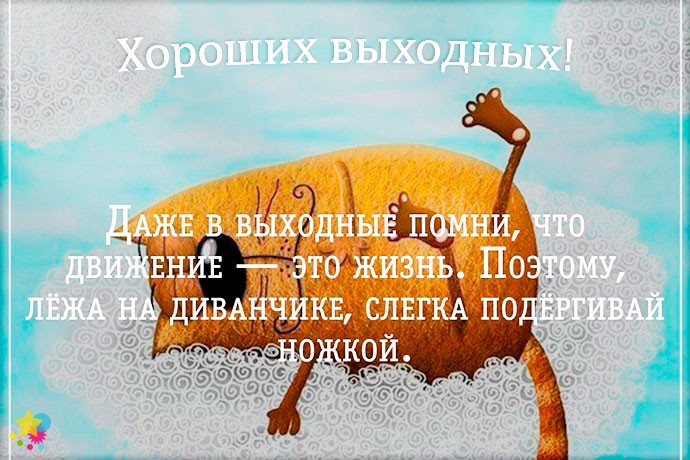 Кот на облаках