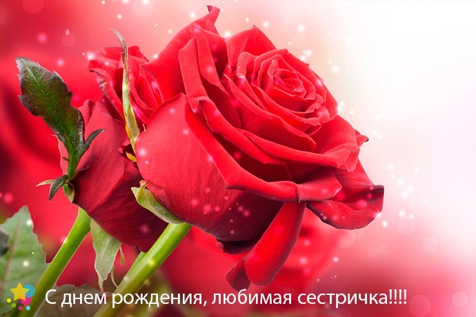 Красные розы для сестры