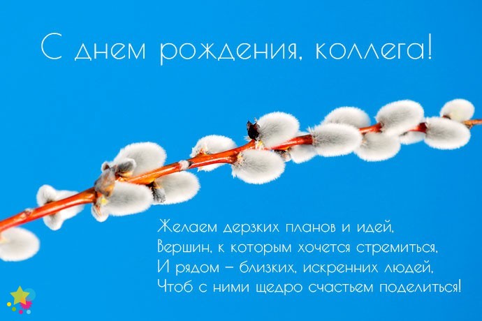 Ветка вербы