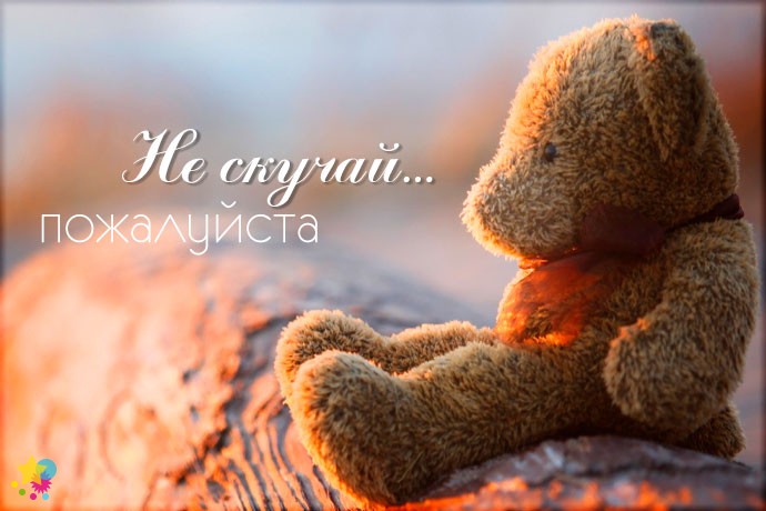 Одинокий мишка