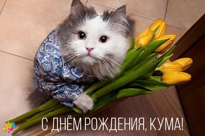 Котик с тюльпанами