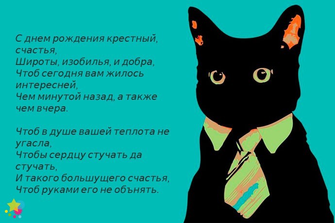Черный котик в галстуке