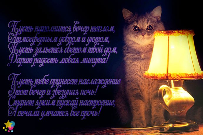 Кот у лампы
