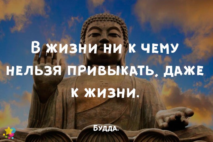 В жизни ни к чему нельзя привыкать, даже к жизни. - Будда.