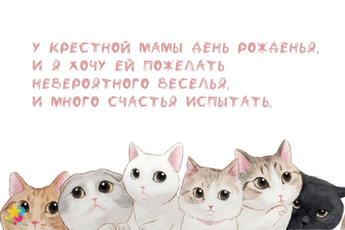 Котики