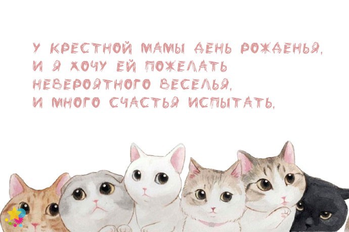 Котики