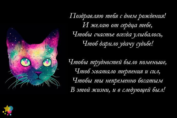 Радужный котик