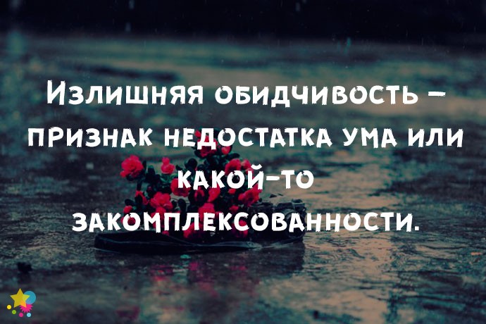 Излишняя обидчивость – признак недостатка ума или какой-то закомплексованности.