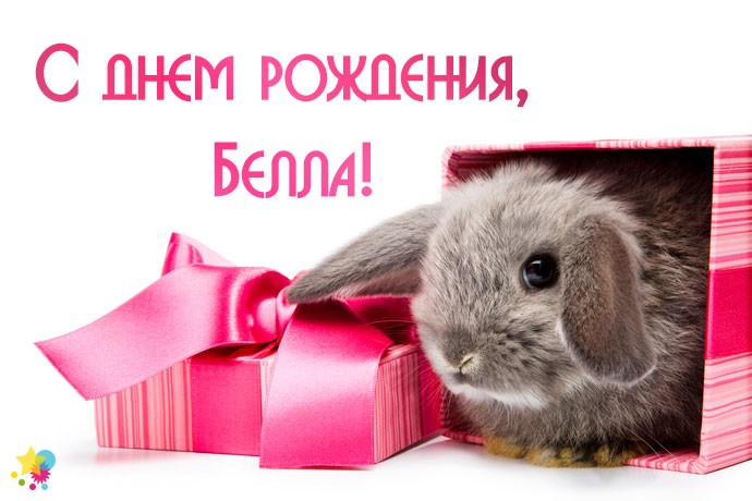 Кролик в подарке