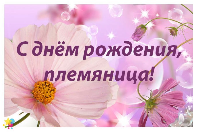 Цветы для племянницы