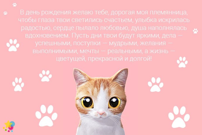 Рыжий котик