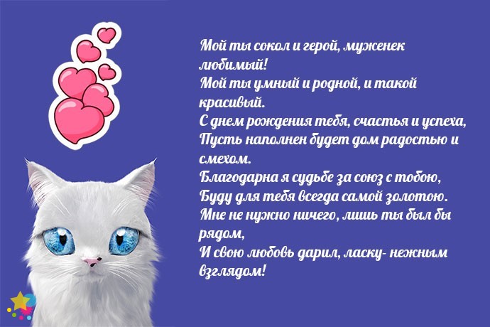 Белый котик с большими голубыми глазами