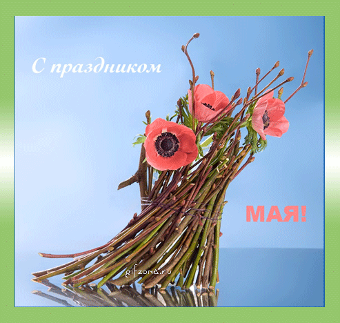 http://www.gifzona.ru/i/1/42.gif