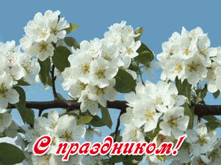 Первого мая цветы песня. Поздравление с 1 мая. Открытки с 1 мая. С праздником весны 1 мая. Весенние цветы 1 мая.