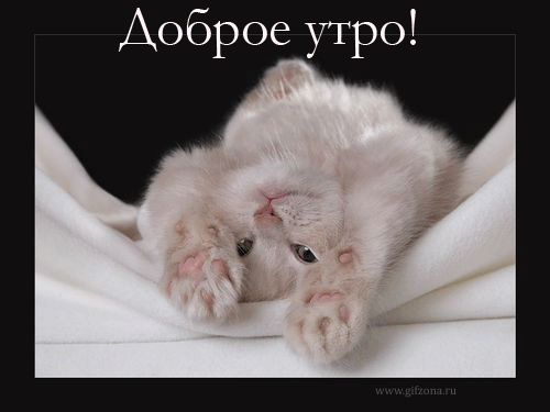 http://www.gifzona.ru/i/du/22.gif