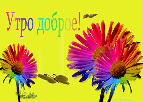 http://www.gifzona.ru/i/du/78.gif