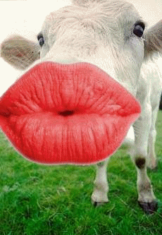 http://www.gifzona.ru/i/prikol/142.gif