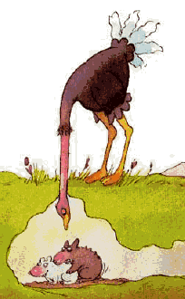 http://www.gifzona.ru/i/prikol/192.gif