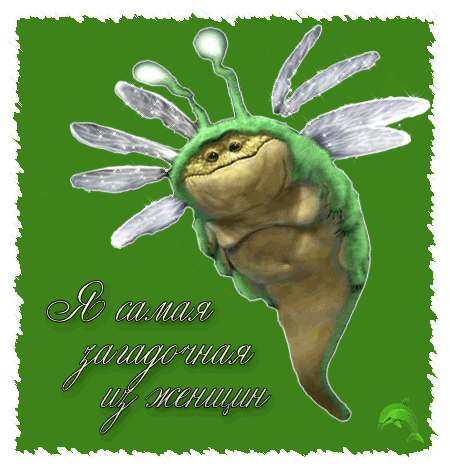 http://www.gifzona.ru/i/prikol/70.gif