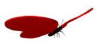 http://www.gifzona.ru/i/valent/v/222.gif